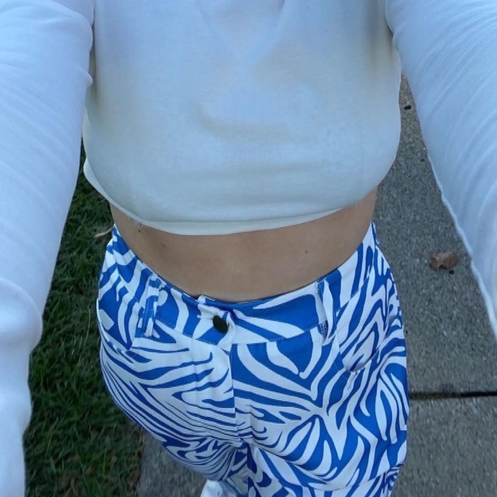 Blue and White Zebra Print Pants